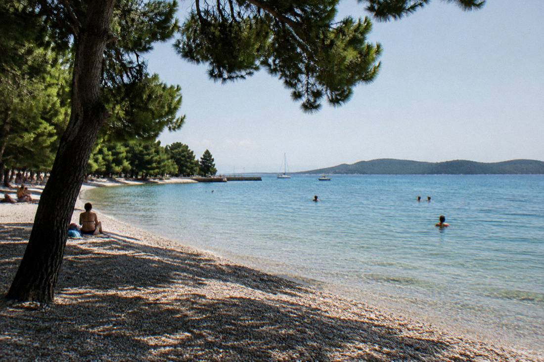 Kolovare pebble beach edged by pines with calm clear water, a few distant swimmers and a long island on the horizon