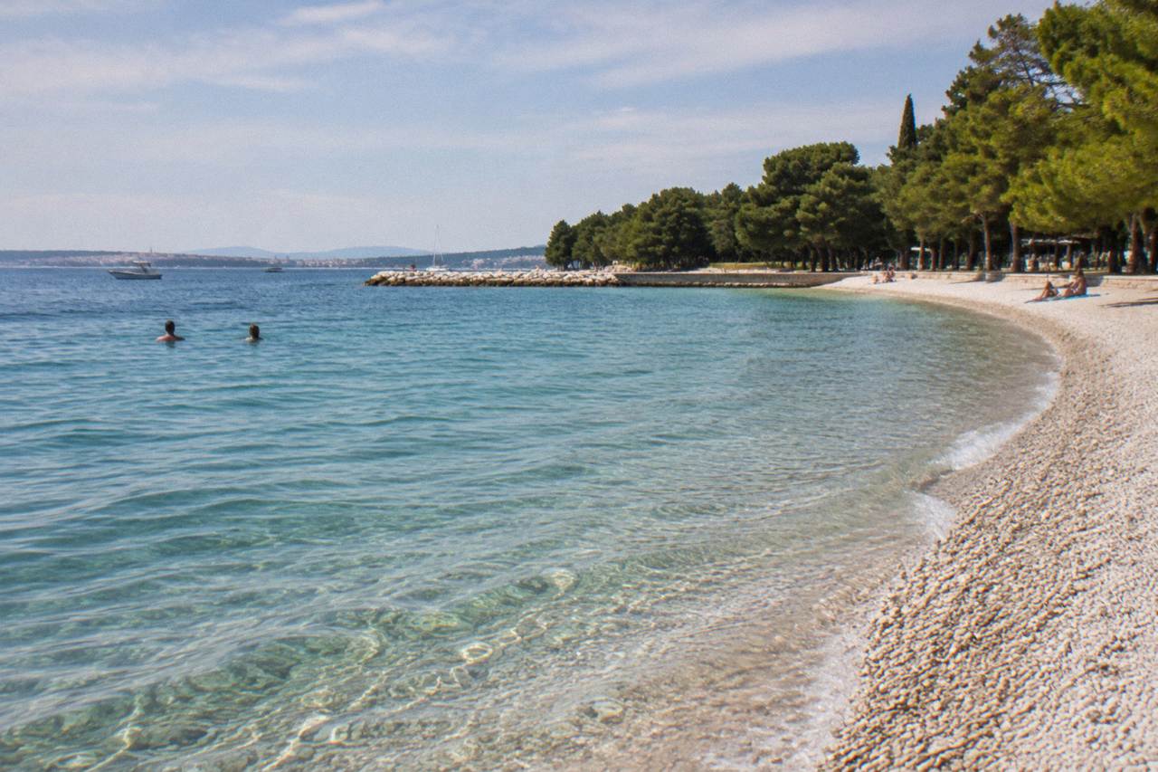 Clear shallow sea beside a pale pebble beach with pines at Kolovare in Zadar