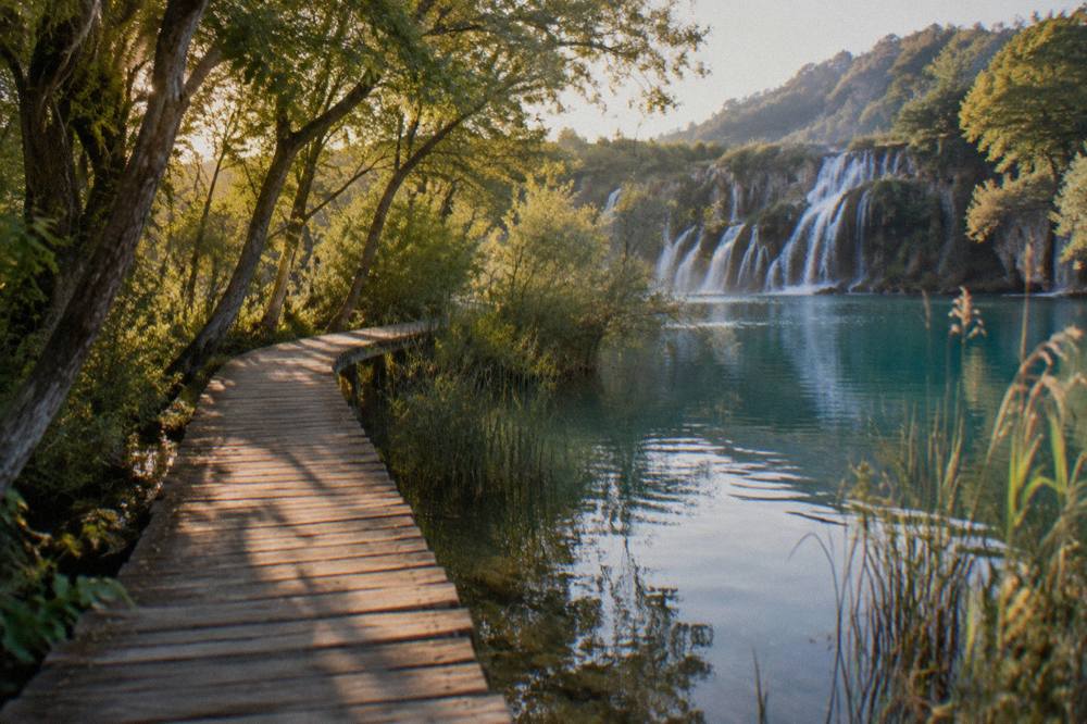 A quiet wooden walkway over still turquoise river water between reeds and willows in Krka