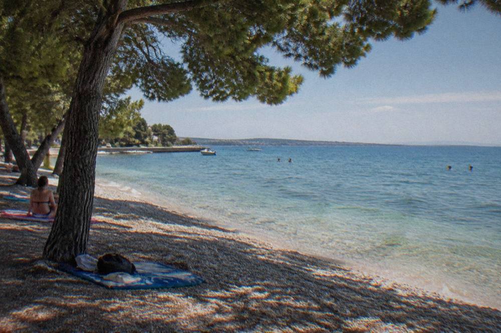 A pine-shaded pebble beach with clear shallow water and a few distant swimmers at Borik