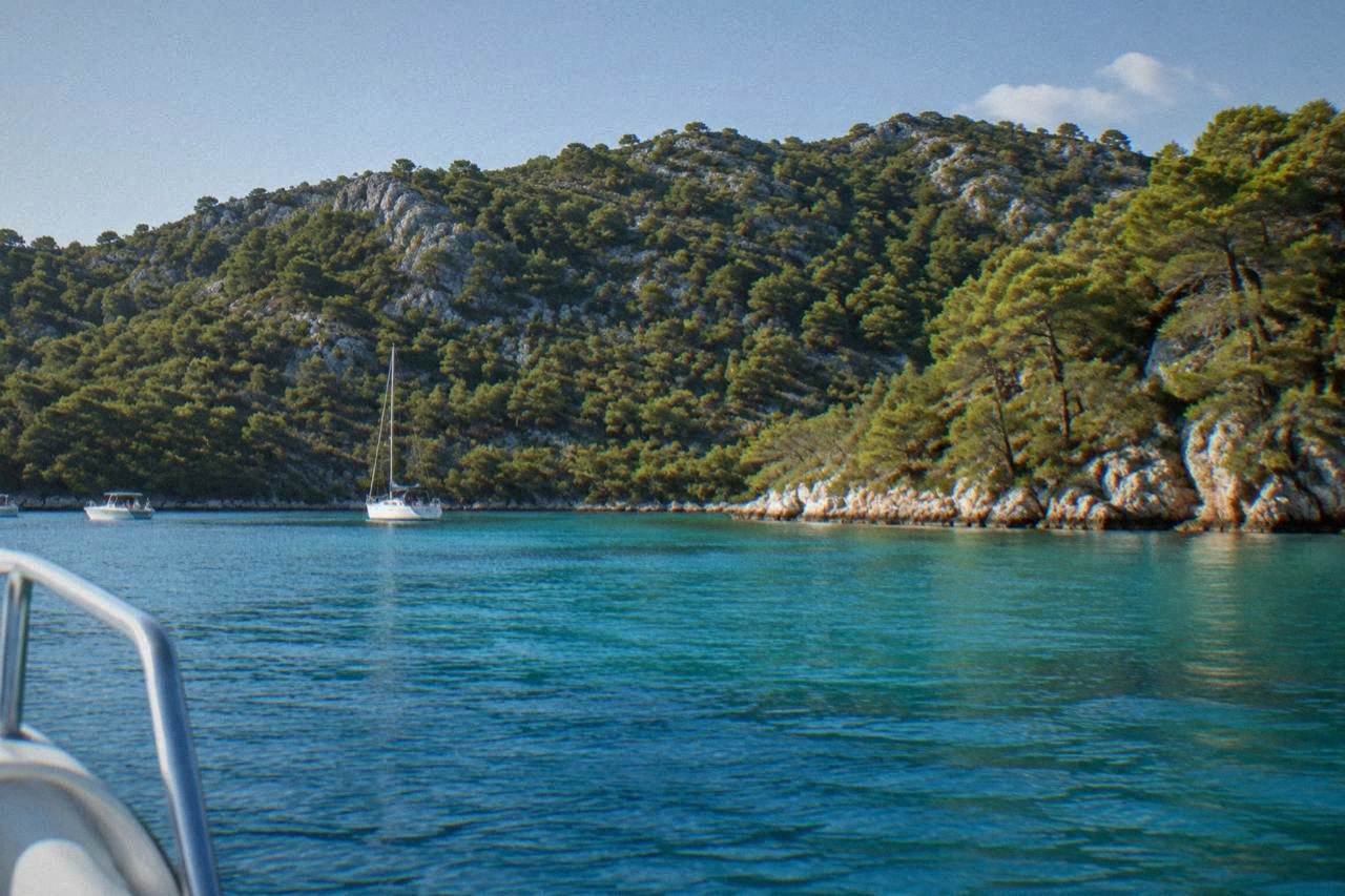 Wooded Dugi Otok hills above clear turquoise water in a sheltered bay