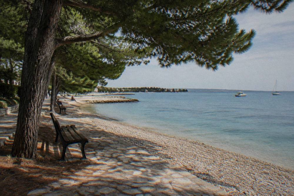 Pine-shaded pebble beach with calm turquoise water and a shore path in Borik