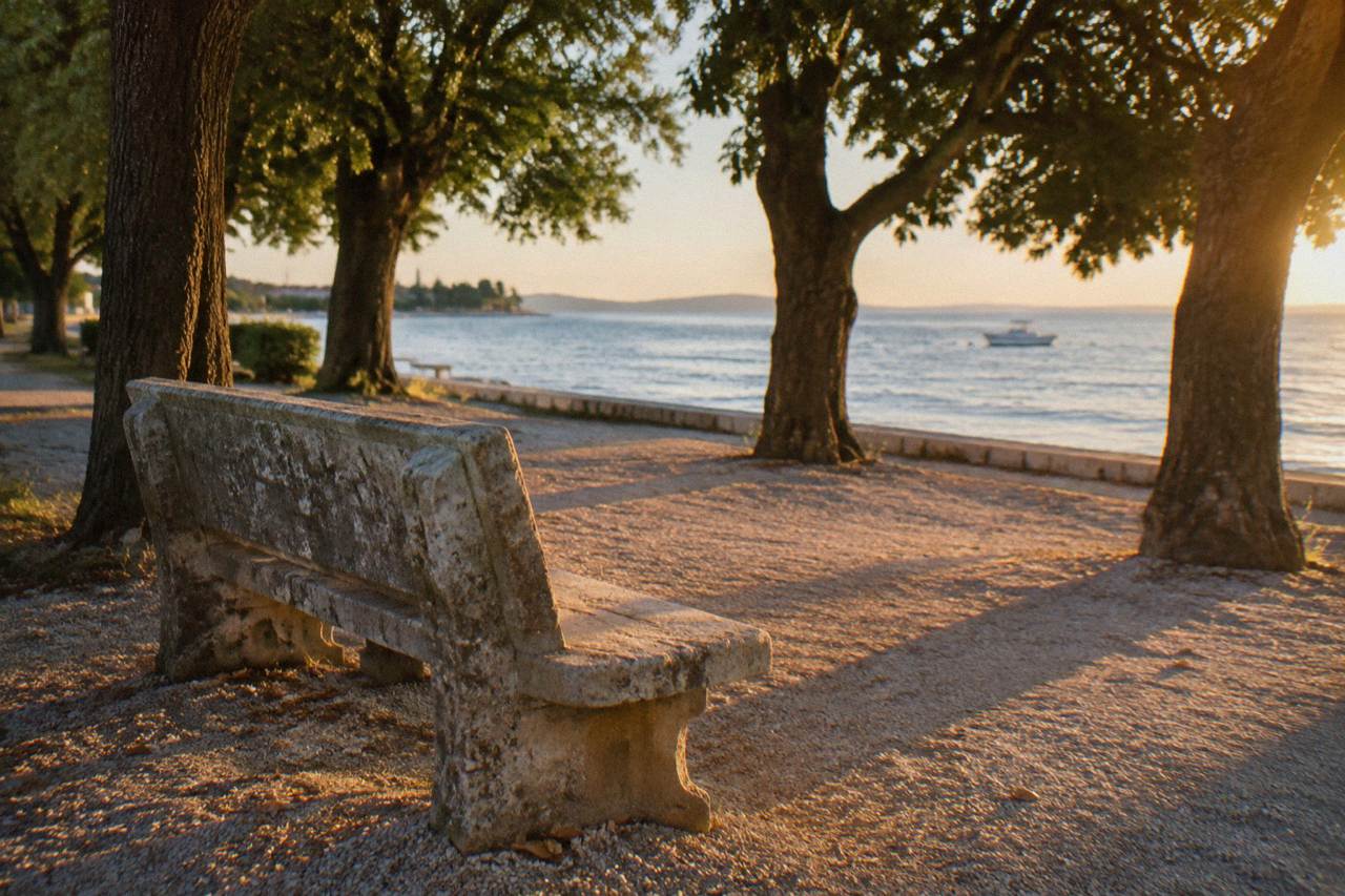 Shaded seaside park in Zadar with a stone bench, old trees and dappled sunlight