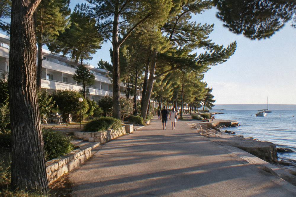 Resort hotel buildings among pines beside the Borik shore on a clear day