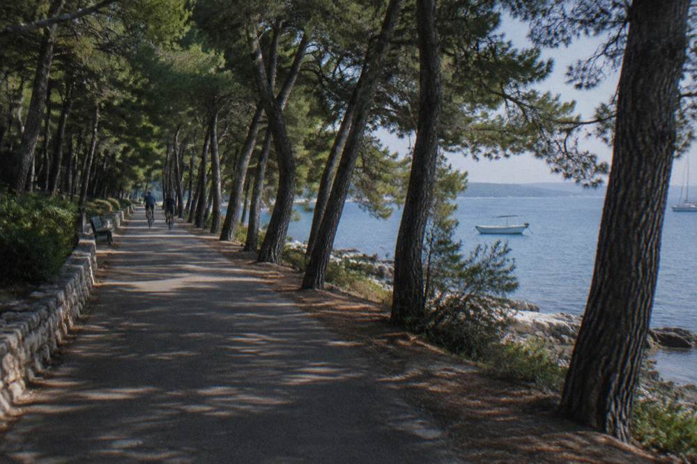 Shaded Borik seafront path through pines with a distant cyclist