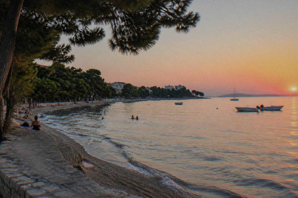 Borik waterfront at golden hour with pines and calm water