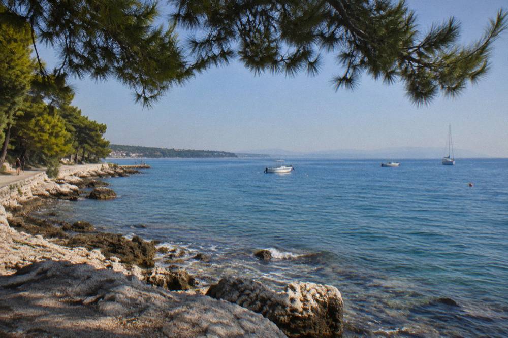 Clear summer sky over the Adriatic at Diklo with pine branches