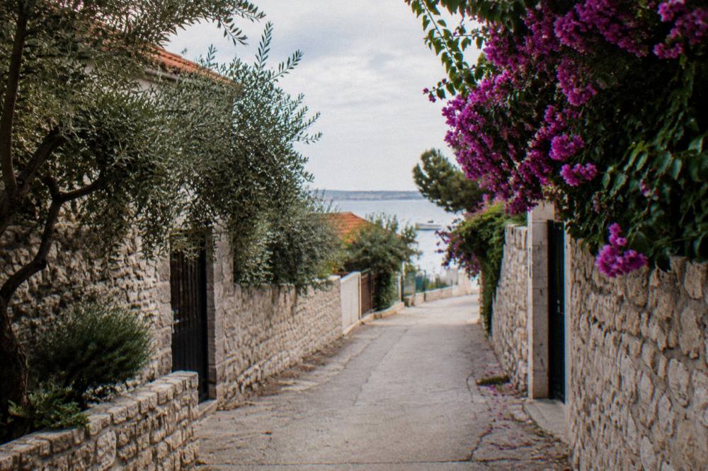 Lane between stone walls with olive trees in Diklo in soft natural light