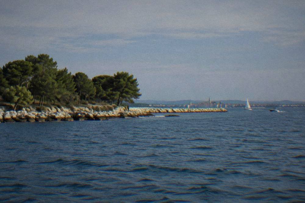 Puntamika shoreline and wooded headland seen from the water on a clear day