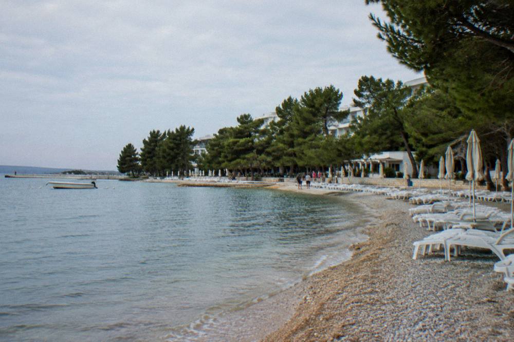 Borik pebble shoreline with pines and loungers in rows on a clear day