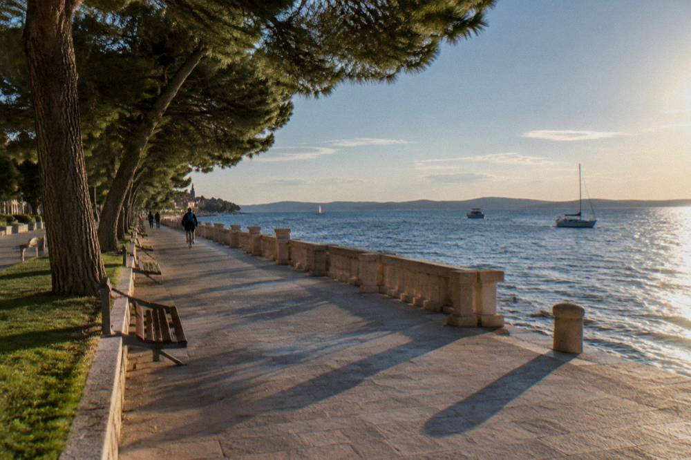 Waterfront path with pines, benches and a distant cyclist in summer light