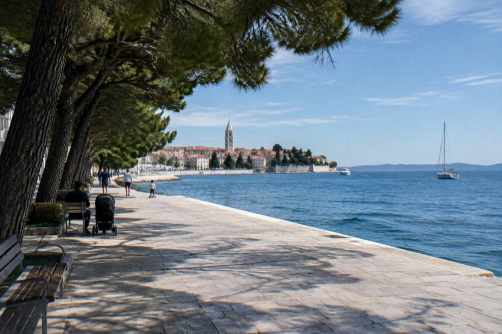 Flat pale stone promenade with benches in pine shade beside the sea