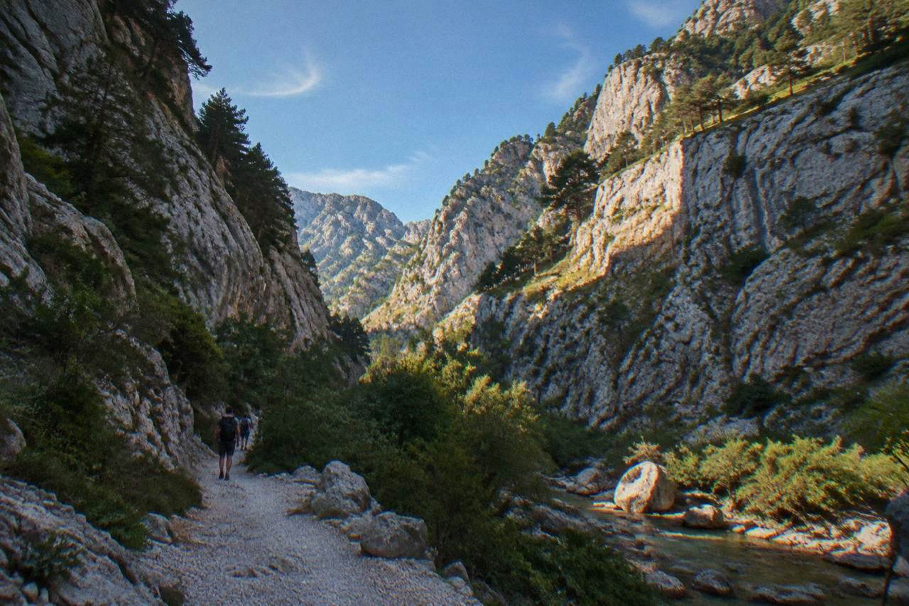 Tall limestone canyon walls of Paklenica with pines on ledges