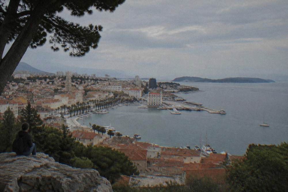 Split terracotta rooftops and bay from a hillside viewpoint in summer light