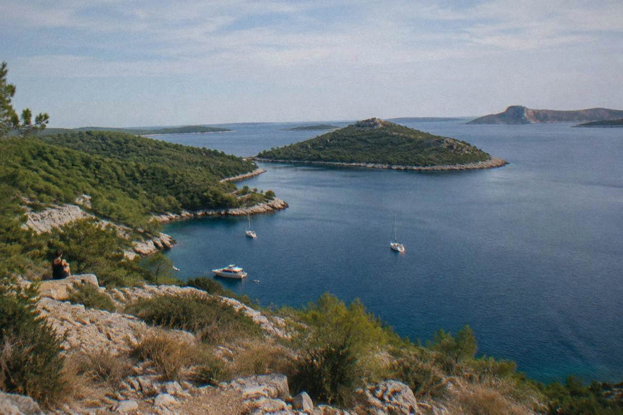 Telascica bay from a hillside viewpoint with pine slopes and small islands