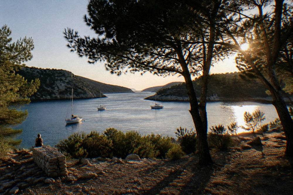 Late afternoon sun over Telascica bay with pine silhouettes and still water