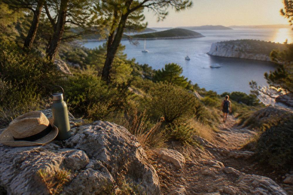 Hiking path through pines and scrub with a distant bay view