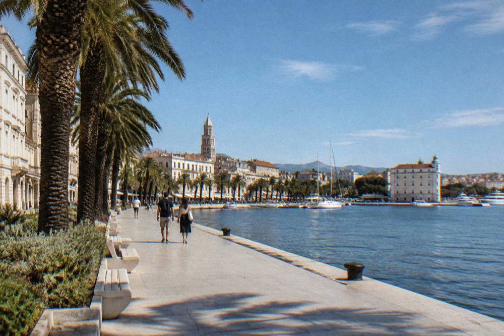 Split promenade with palms and a pale palace wall in sun