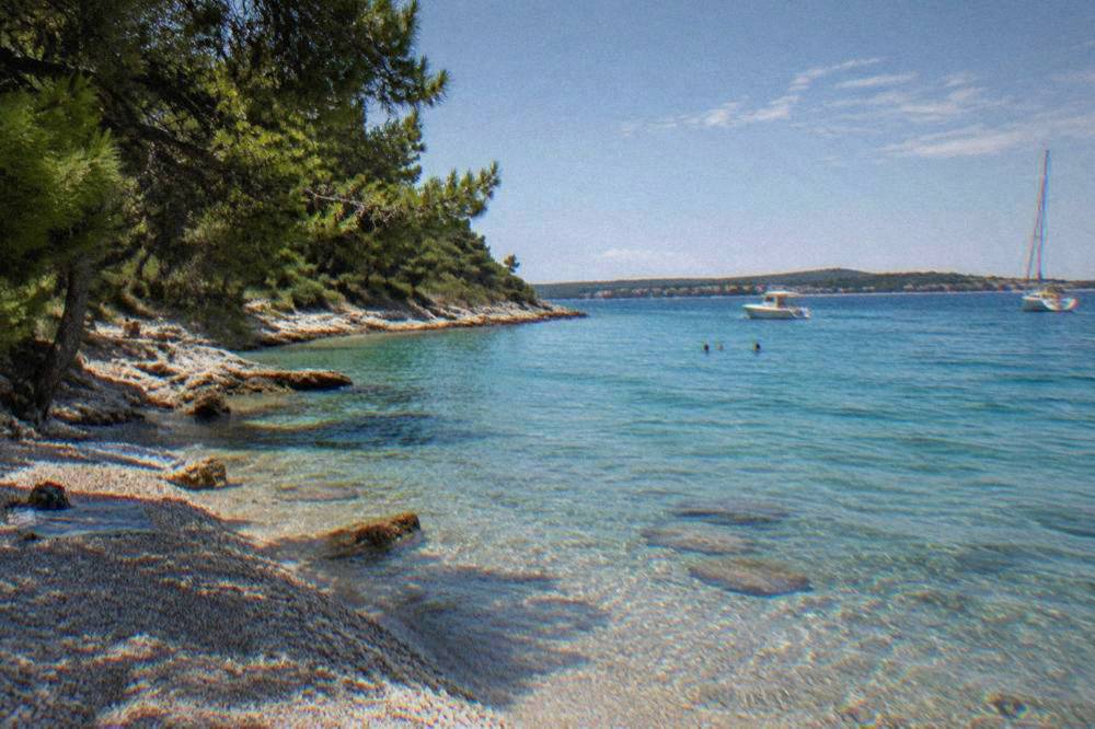 Little pebble cove on Ugljan with turquoise water and pines
