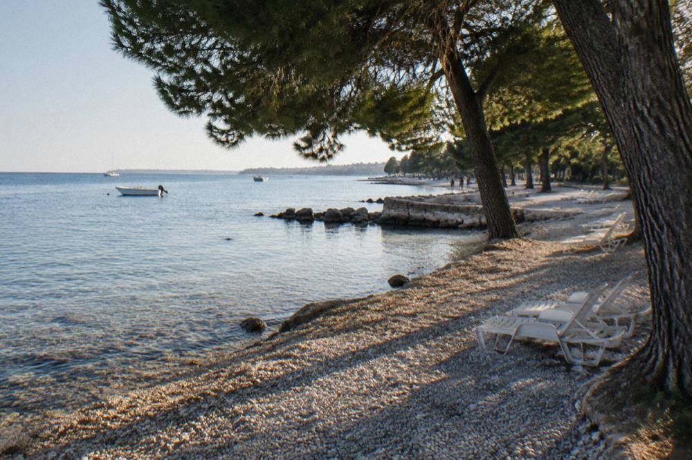 A calm morning on a pebble beach with clear water and pine trees casting shade.