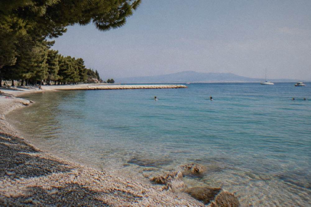 Distant swimmers in clear turquoise water at a pine-backed pebble beach in summer.