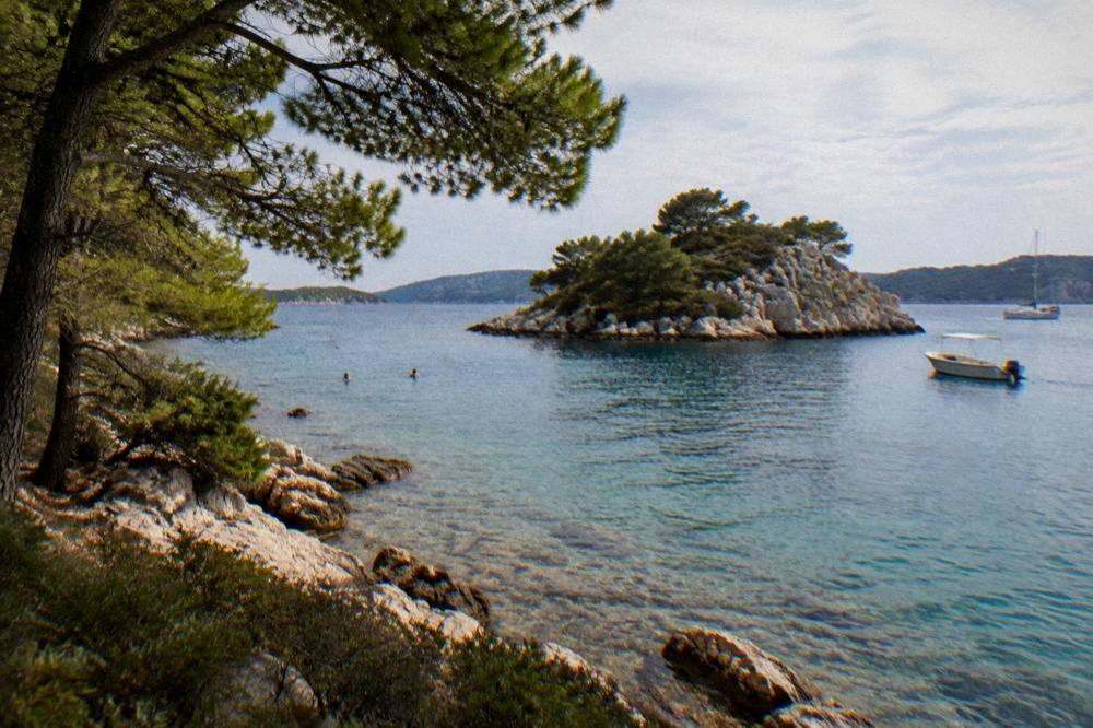 Distant swimmers in clear shallow water beside a rocky islet with pines on the shore.