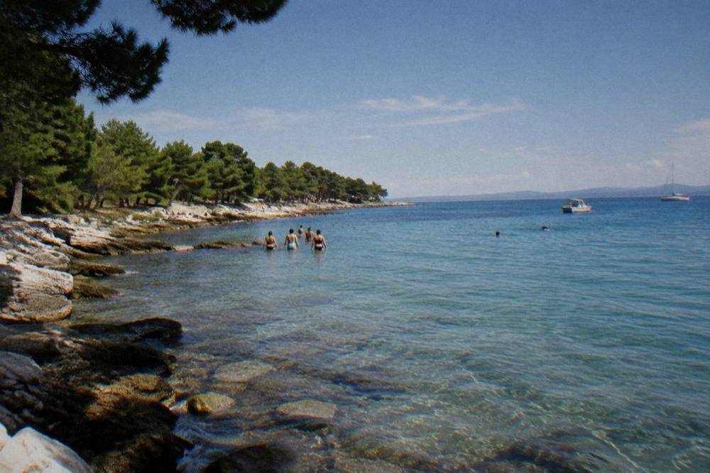 Distant swimmers entering clear water from a rocky shoreline backed by pines.