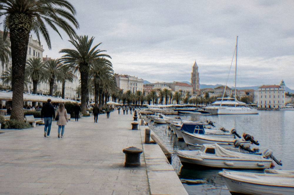 A wide seafront promenade with palms, pale paving and moored boats on a bright day.