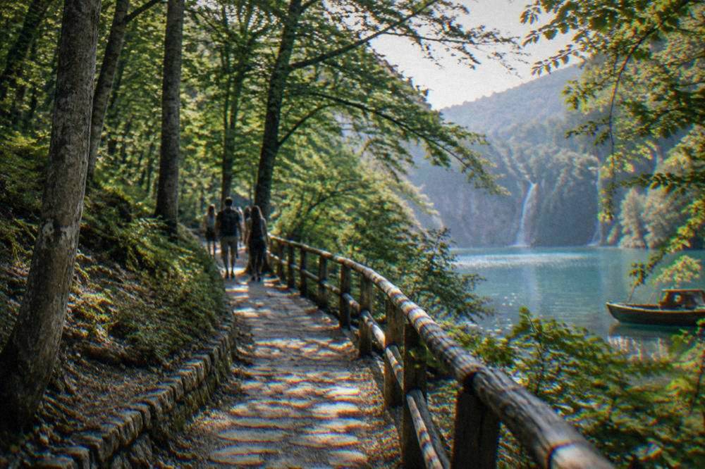 A stone-lined trail among tall beech trees at the entrance to a national park.