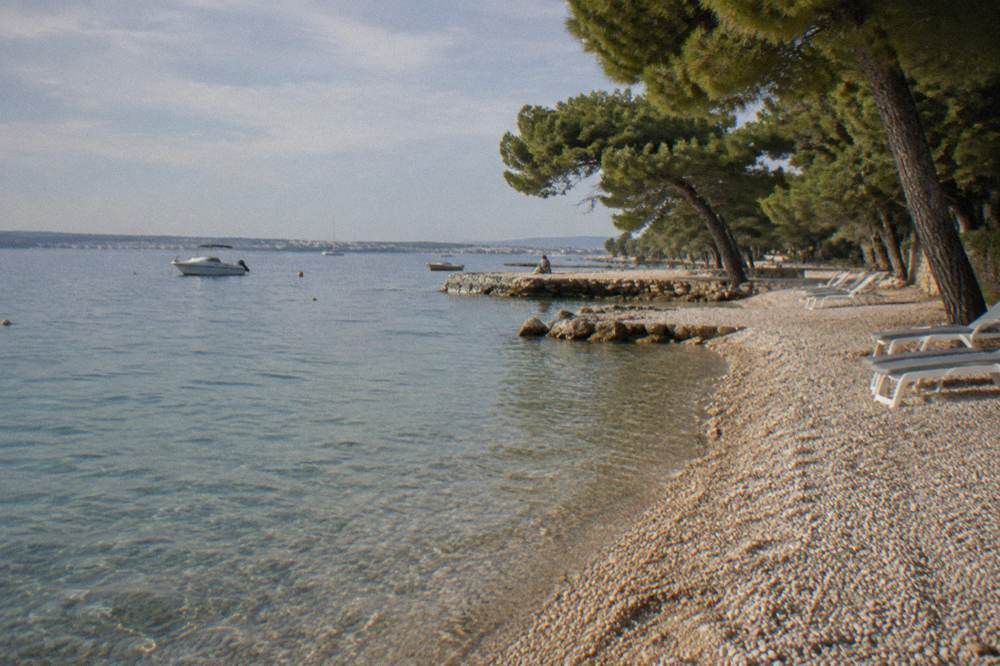 A pebble beach with clear shallow water, pines and a few empty sun loungers.
