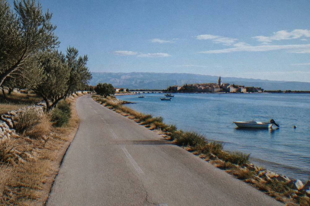 An empty coastal road in autumn light with calm sea on one side and olive trees on the other.