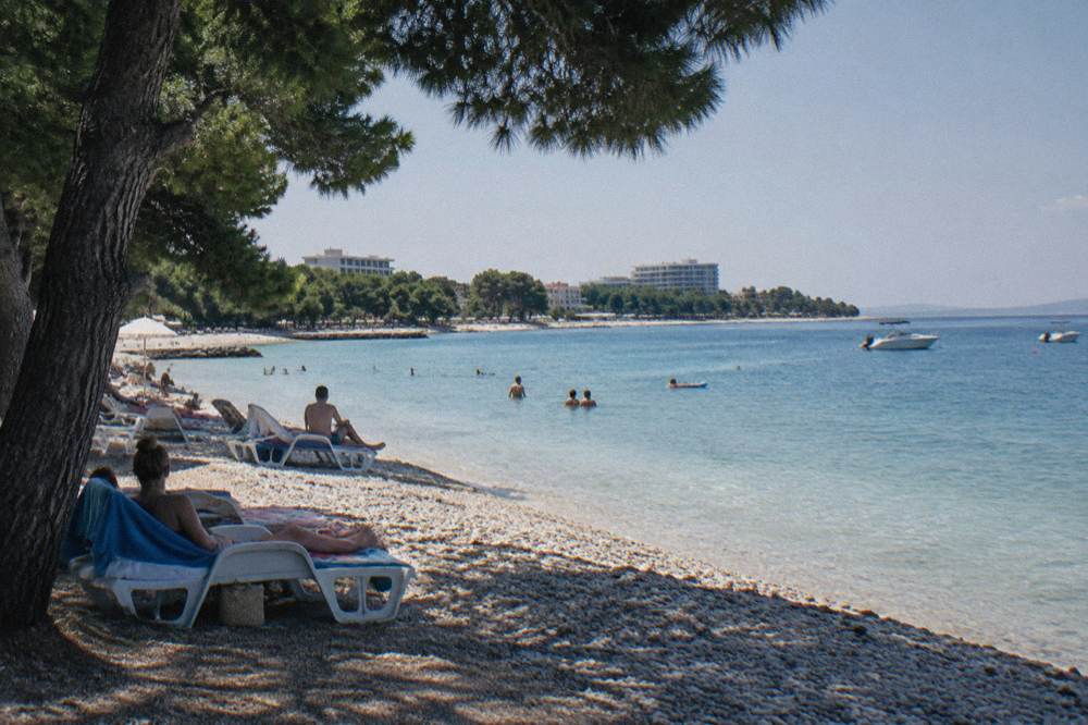 A pebble beach with sun loungers and calm turquoise water backed by pines.