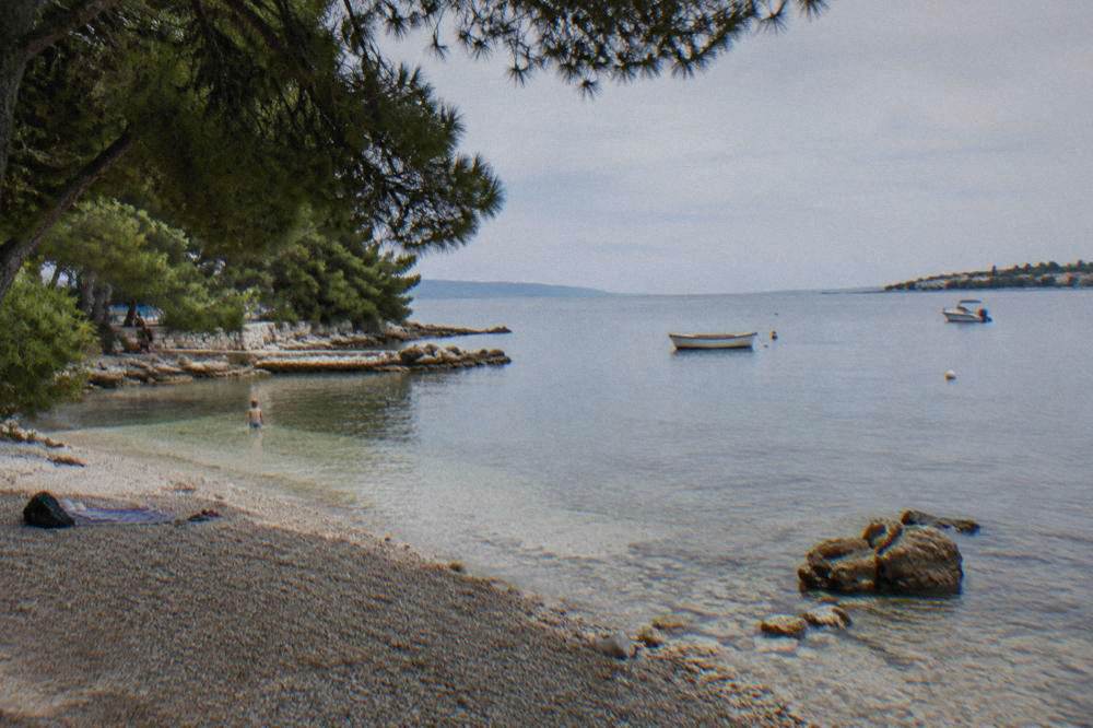 A quiet gravel cove with pine shade and calm shallow water.