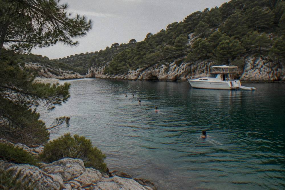 Swimmers near an anchored tour boat in a rocky cove with pine slopes.