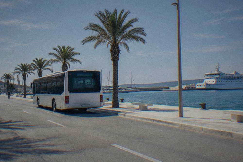 A city bus parked beside a harbour with palm trees and a pale quay.