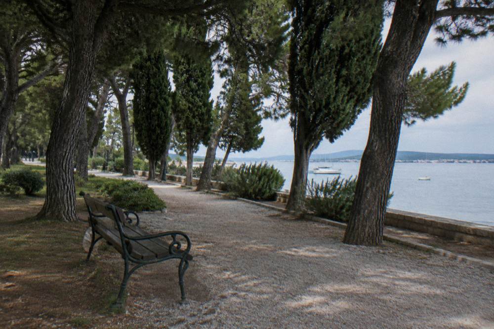 A shaded path under tall trees with a bench in Queen Jelena Madijevka Park in Zadar.
