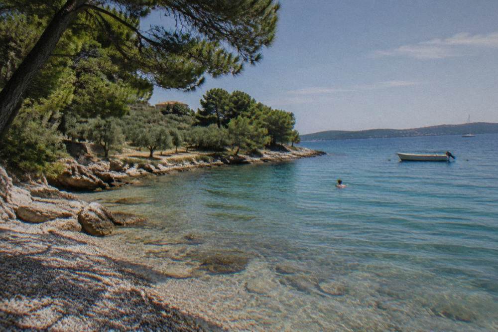 A quiet pebble cove with pines and clear shallow water on Ugljan island.