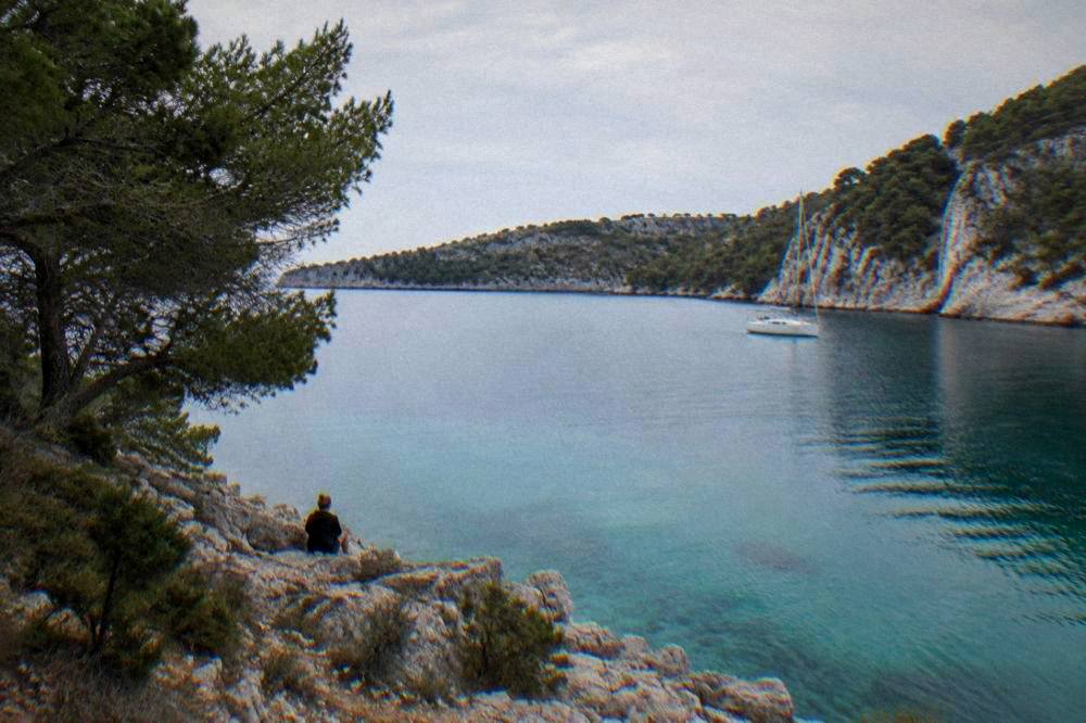 A calm sheltered bay with rocky shore and pines in Telašćica Nature Park.