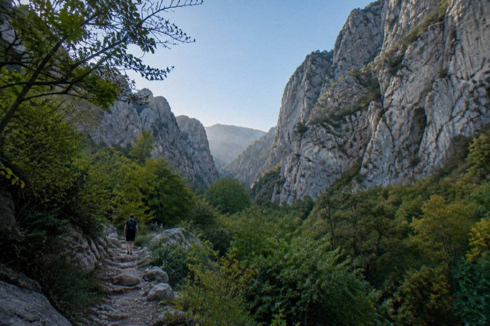 A steep pale limestone gorge rising above a forest path in Paklenica.