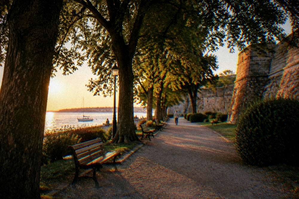 A shaded park path with benches and tall trees near the old walls in Zadar.