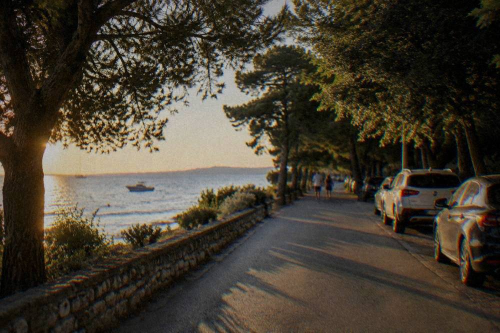 A quiet tree-lined road beside Kolovare Beach in Zadar with parked cars in shade.
