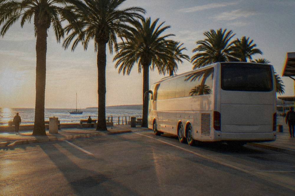An intercity coach parked at a bus bay under palm trees at Zadar bus station.