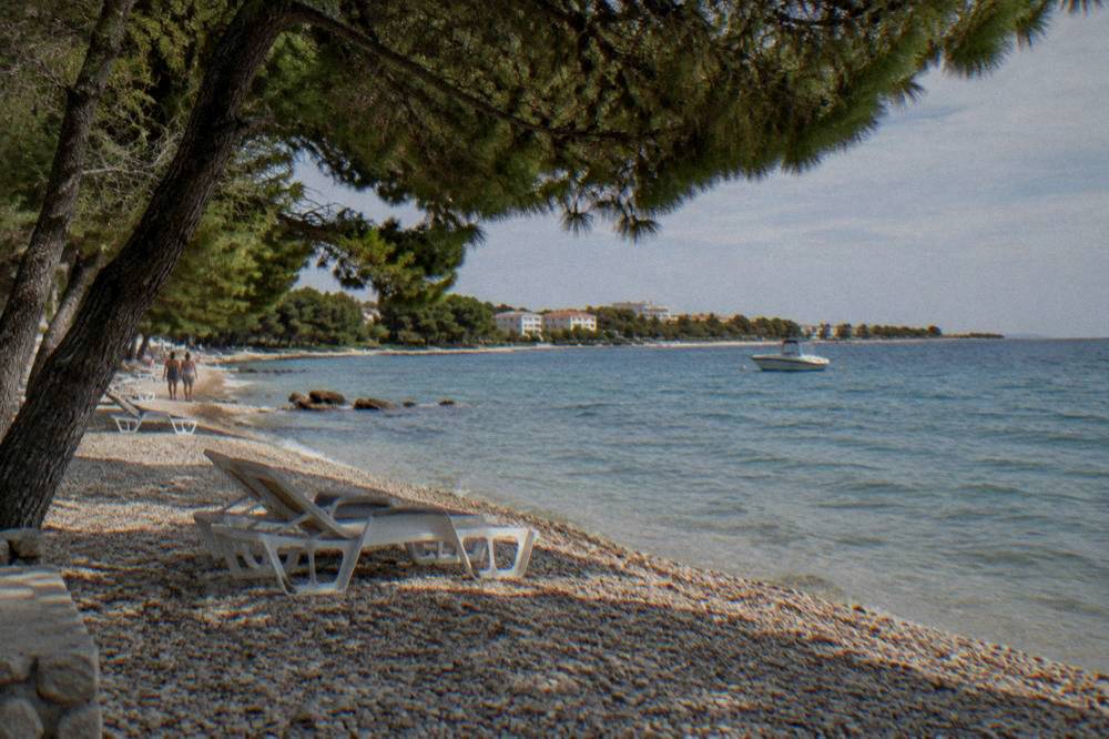 A pebble beach with pines over calm turquoise water at Borik in Zadar.